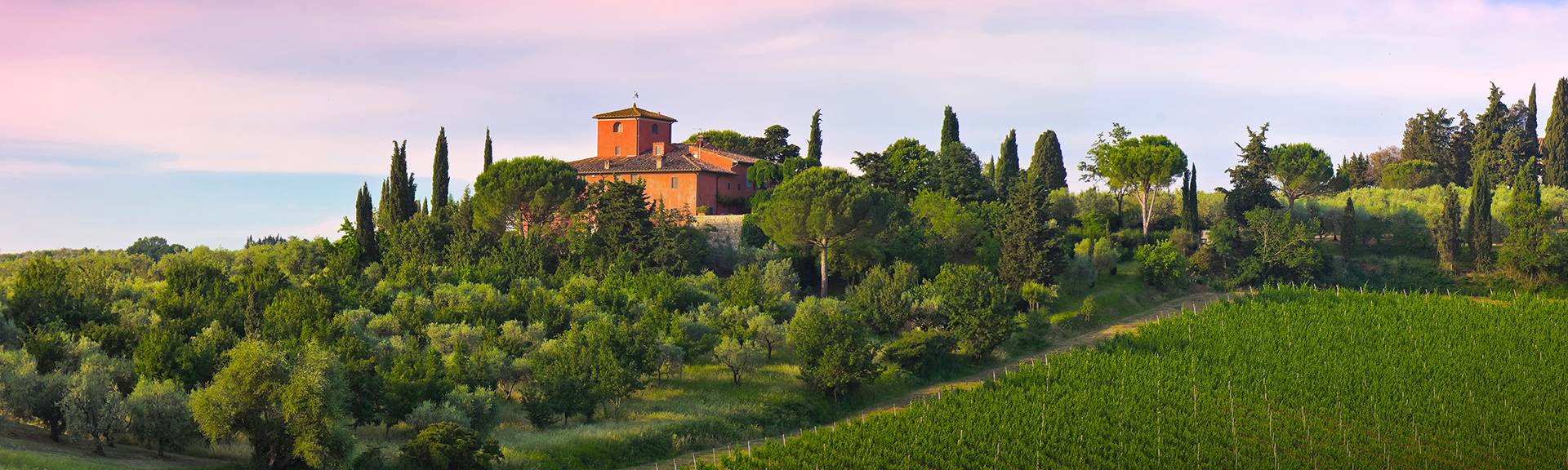 piemonte piedmont transfer private taxi trips Italy France NCC noleggio con conducente